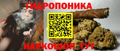 прущие крисы Анжеро-Судженск