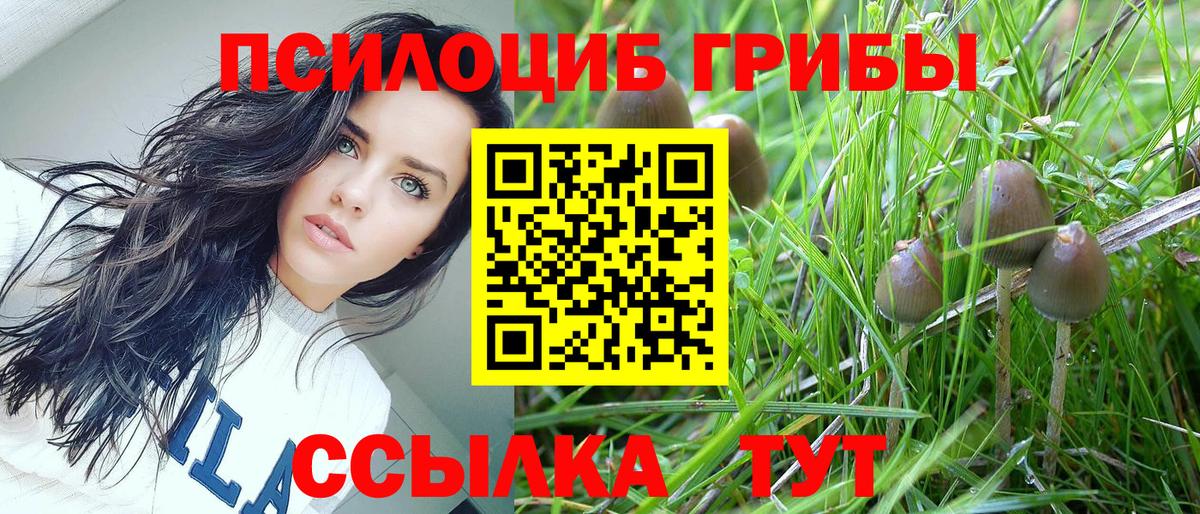 Псилоцибиновые грибы Magic Shrooms  Вход с VPN  Псилоцибиновые грибы Psilocybine cubensis  Великий Устюг 